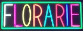 Reclama LED NEON - FLORARIE - de interior, 60 x 25 cm